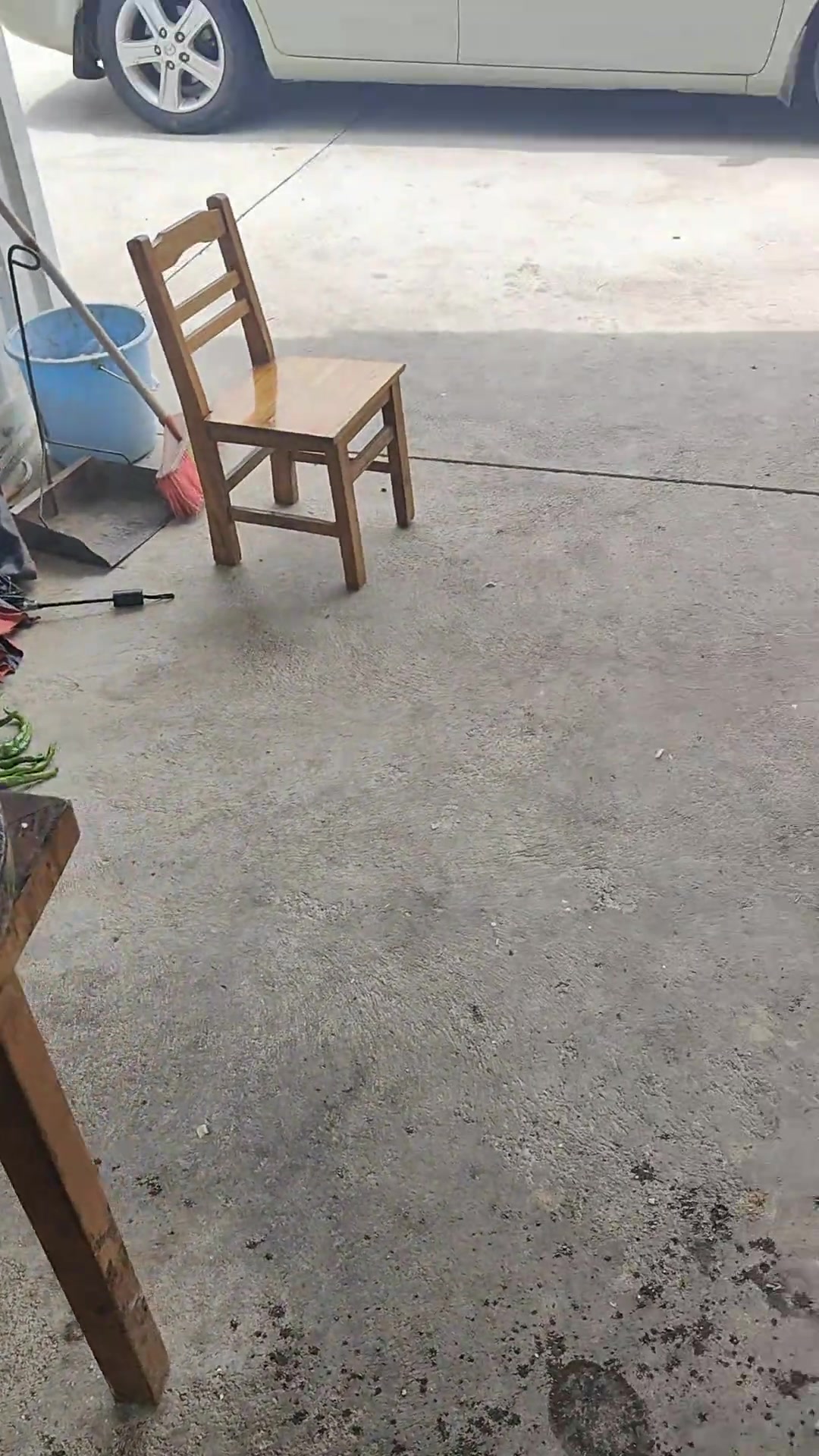 鹅肉的家常做法分享