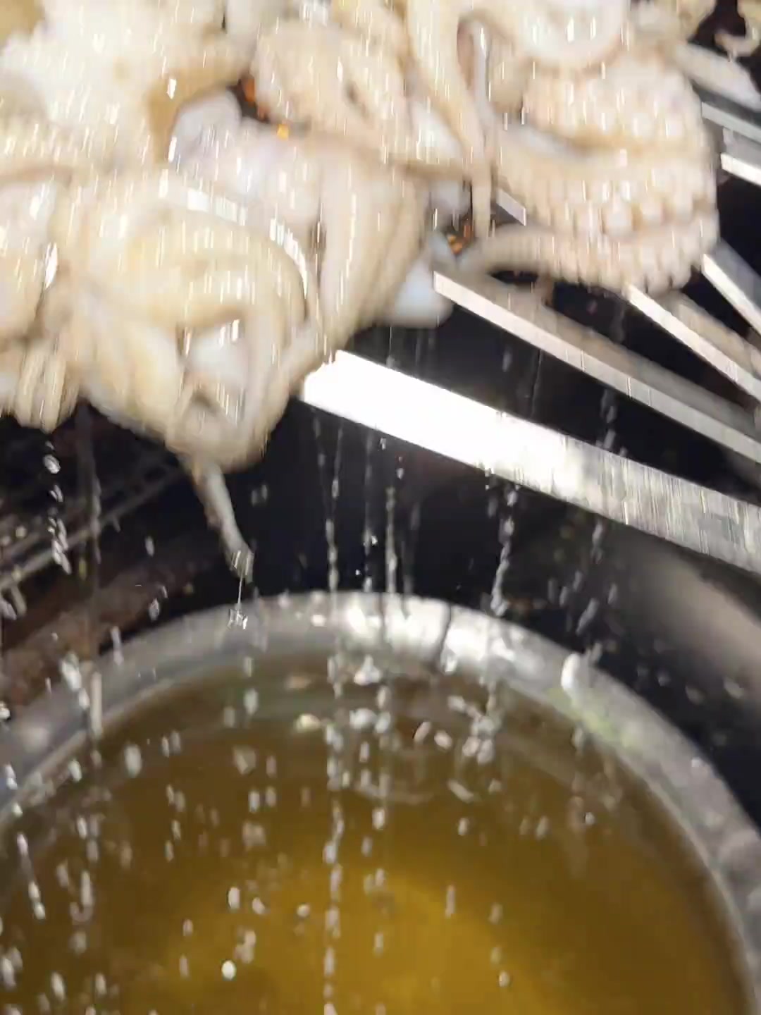 武汉巷子里的老破店，铁笼烤大八爪鱼超好吃