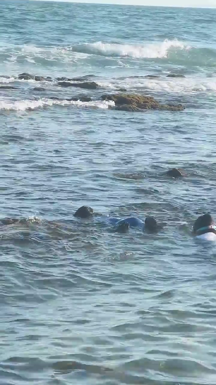 赶海退潮,三个外孙抓小螃蟹,小鱼,吹海风放松心情,清凉一夏
