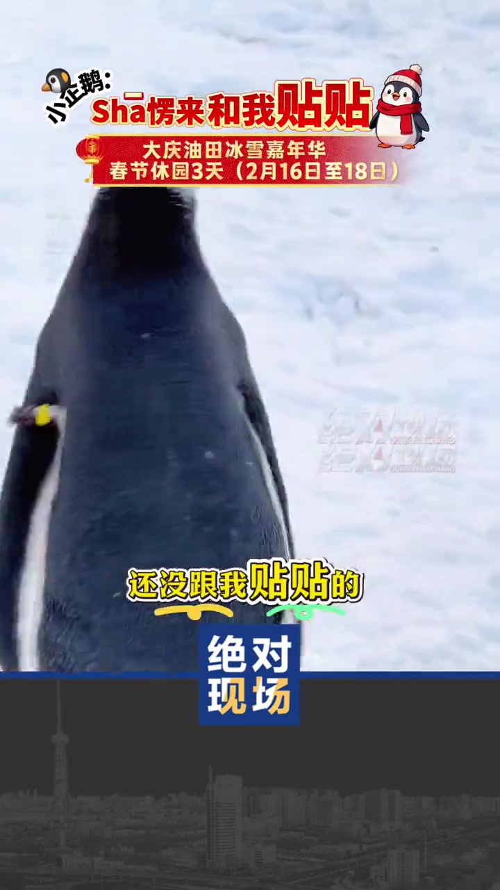春节休园三天!小企鹅在线催:沙愣儿来跟我贴贴。#油趣在乐园