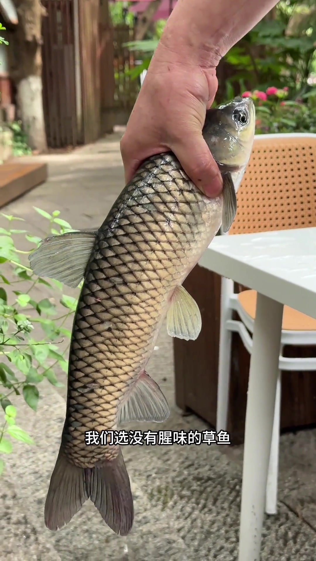 好吃的本乡本土家常菜