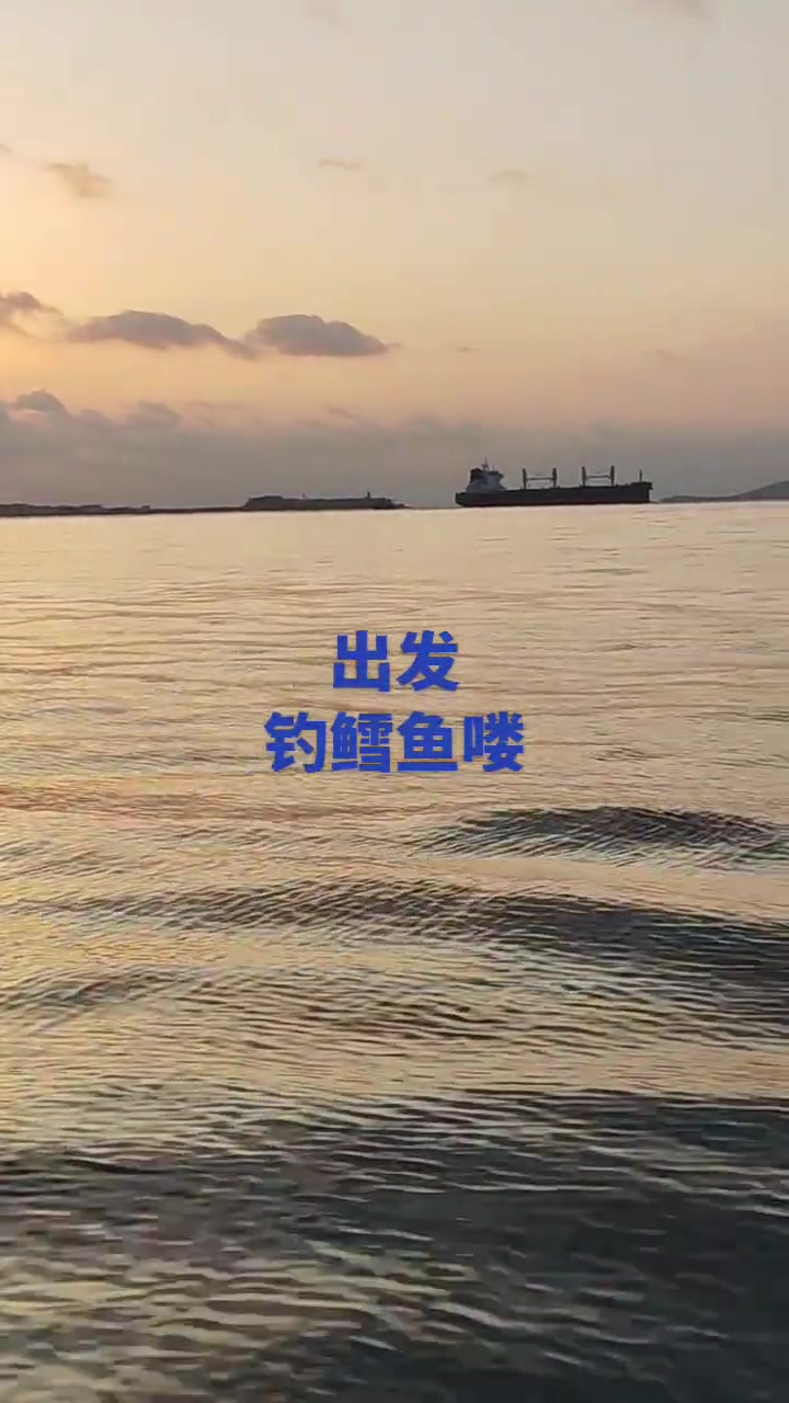 青岛海钓,鳕鱼、大头星,随手拍