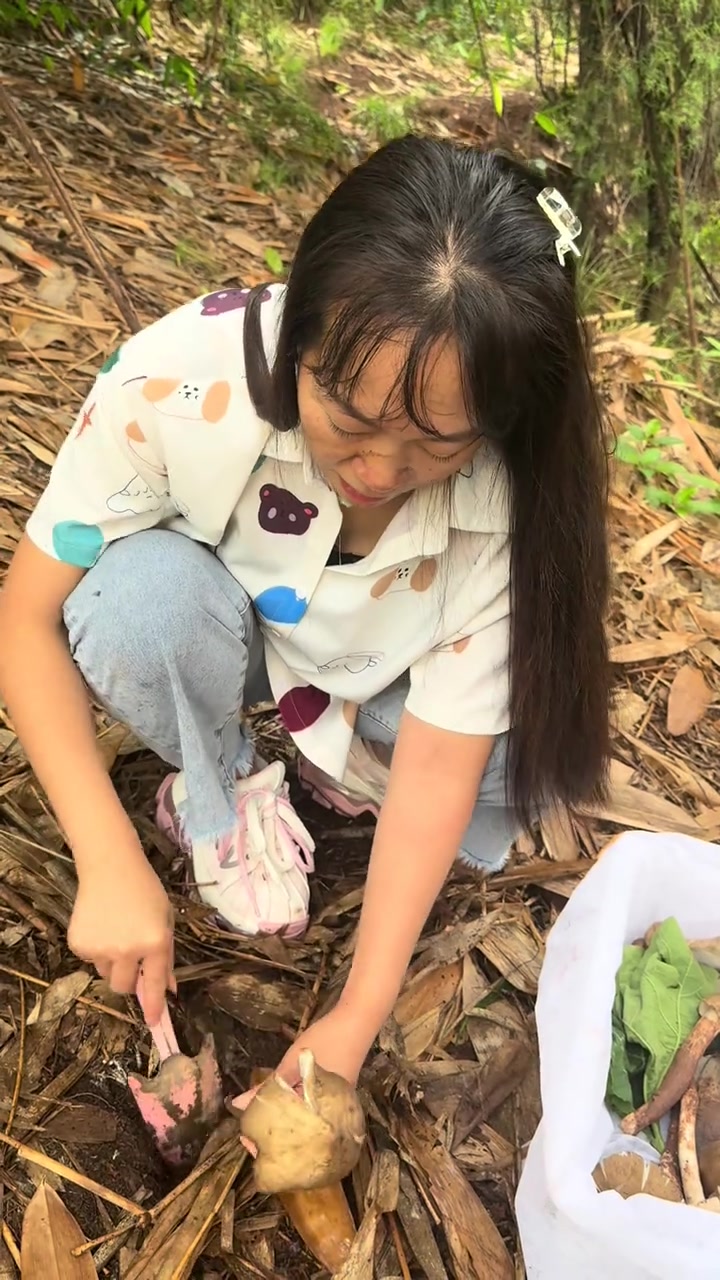 找了一晚上斗鸡公