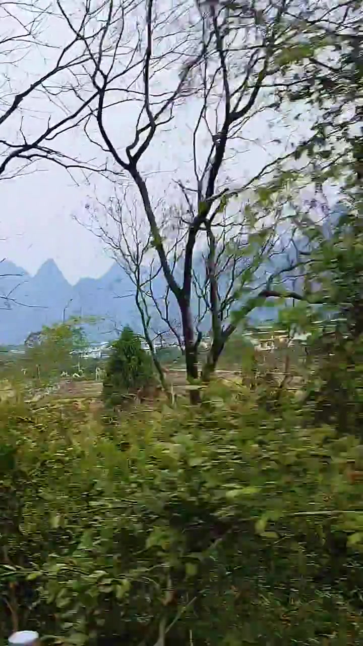 桂林的山 黄河文化行