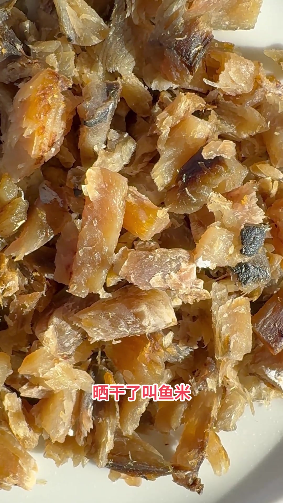 鲅鱼鱼米——藏在饺子里的童年回忆！青岛旅游攻略