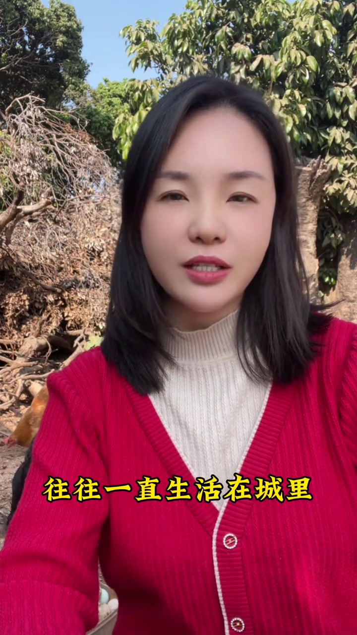 其实农村人比城里人,更愿意用大价钱土鸡,东莞