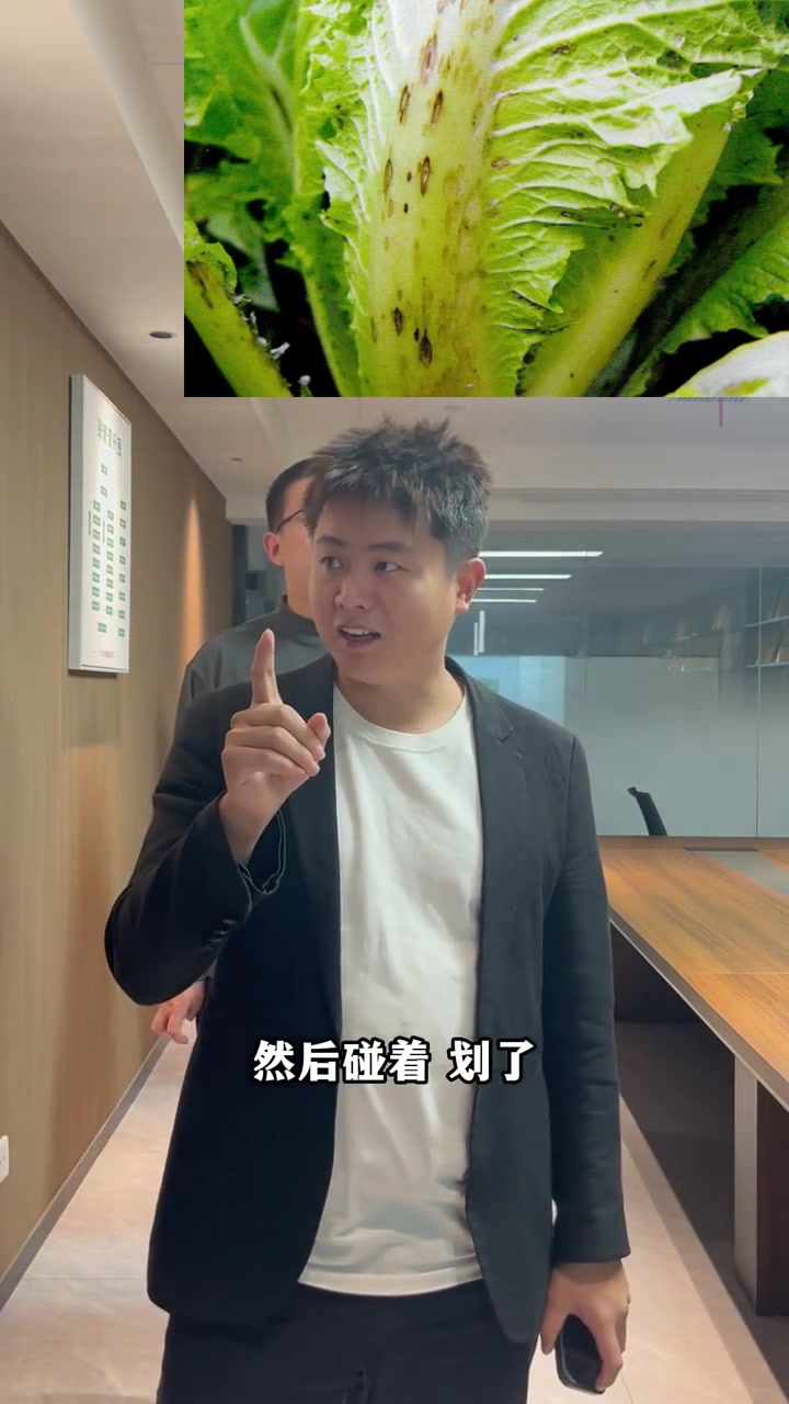 大白菜常见病虫害及解决方案来啦~速来学习