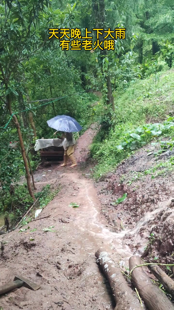 这几天都大半夜下大雨，老火哦，老天爷也该消停一下了
