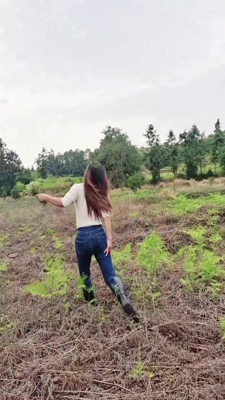 我是来摘蕨菜的
