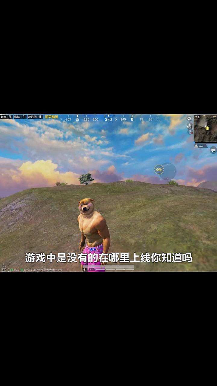 狗头皮肤鱼头皮肤猴头皮肤选哪个 和平精英怪力萌友