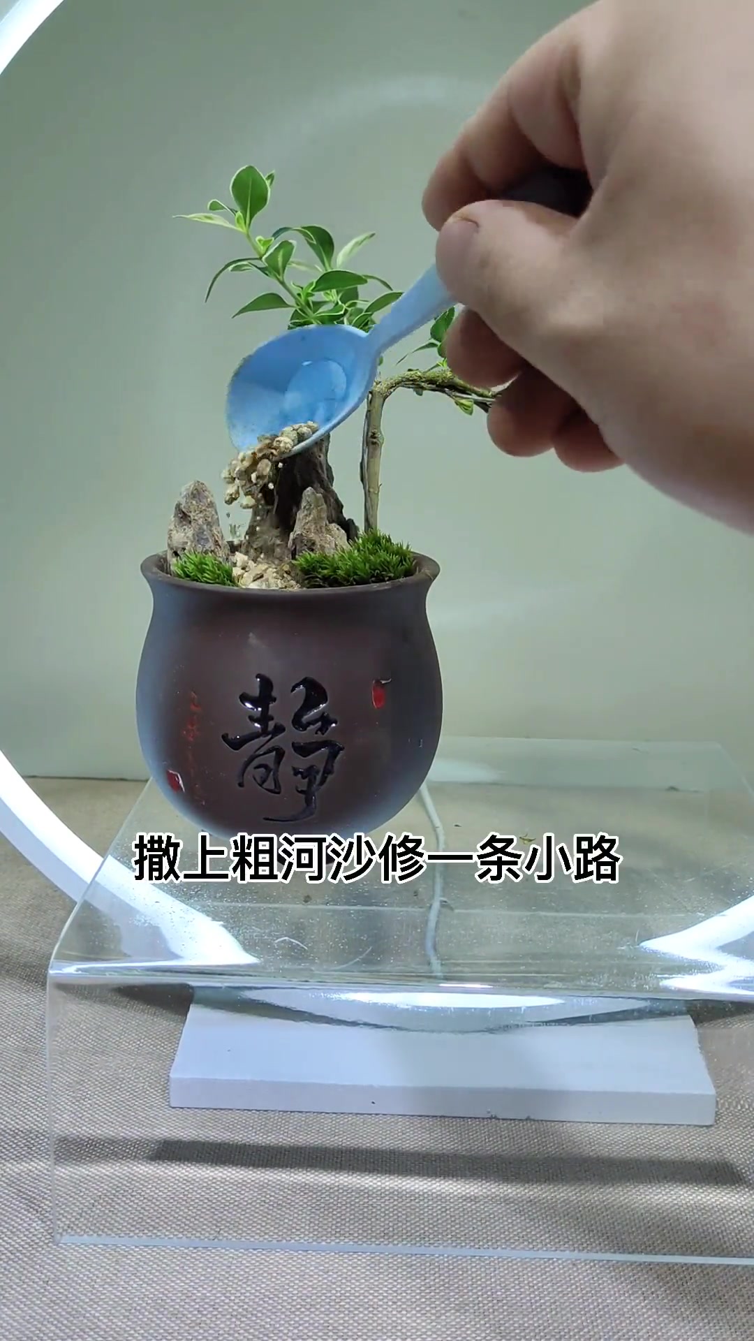 微景观制作详细教程，学会摆家里很香