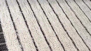 印度方便面工厂的一天