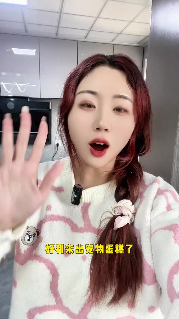 好利来宠物蛋糕复刻，狗狗蛋糕做法