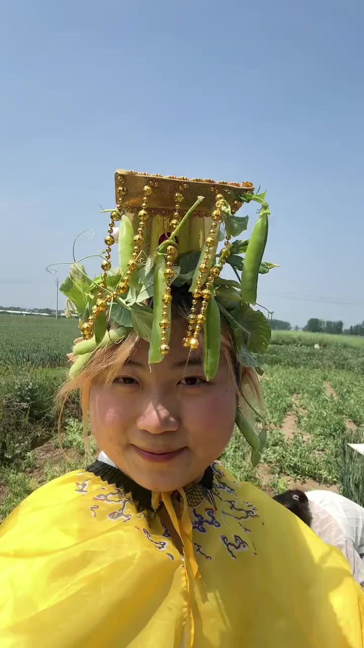 今天摘了豌豆角,种了小菜苗
