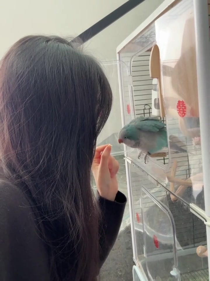 一真没饿它,互动吃的是包子皮