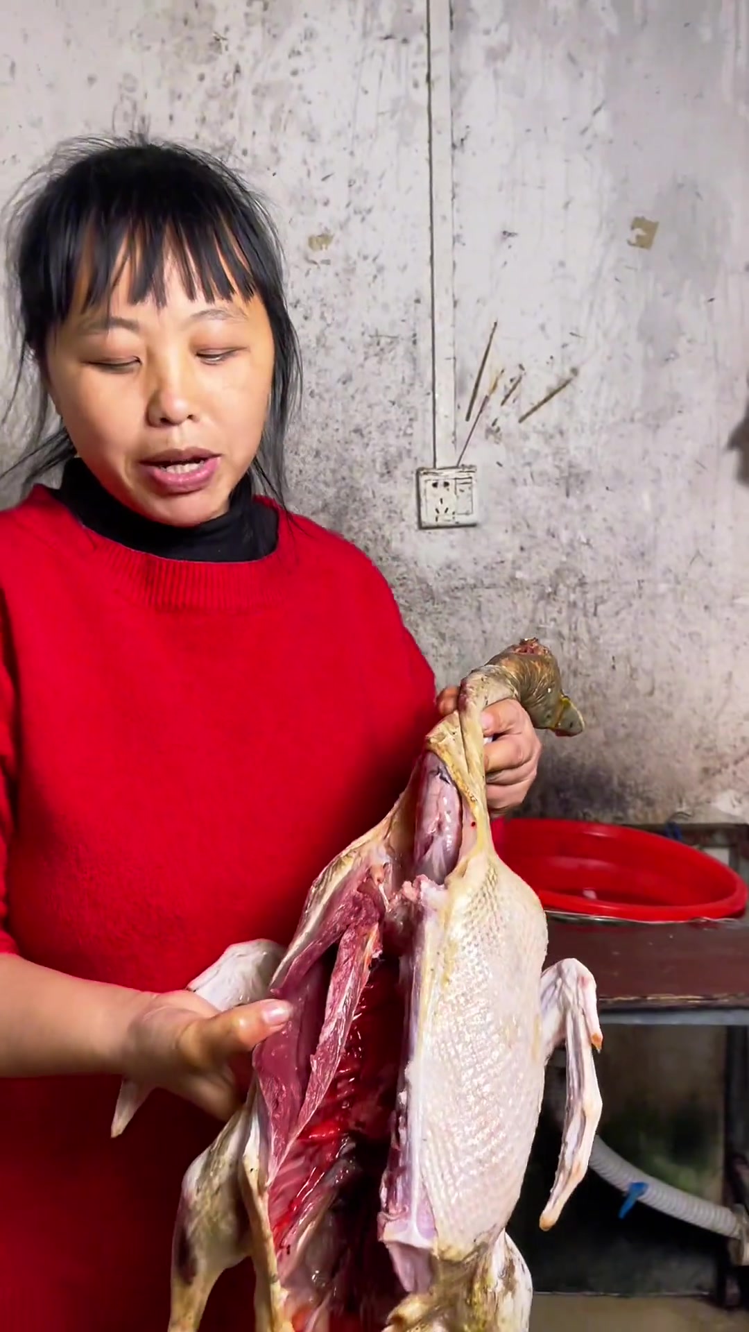 妈妈回家过年啦,必须按排上白切土鸭旱藕粉火锅,大家好好热闹一餐