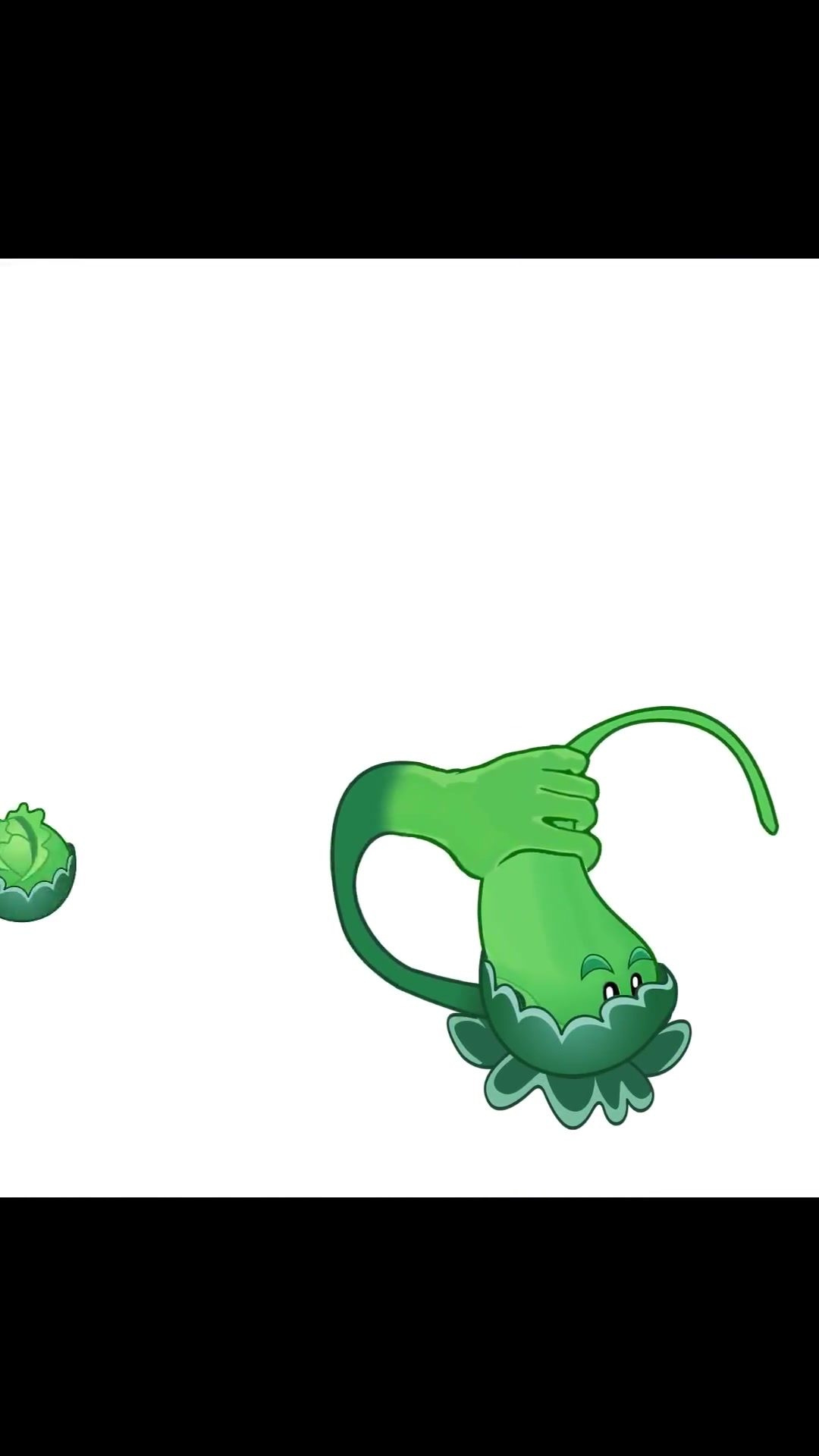 植物小动画：卷心菜投手