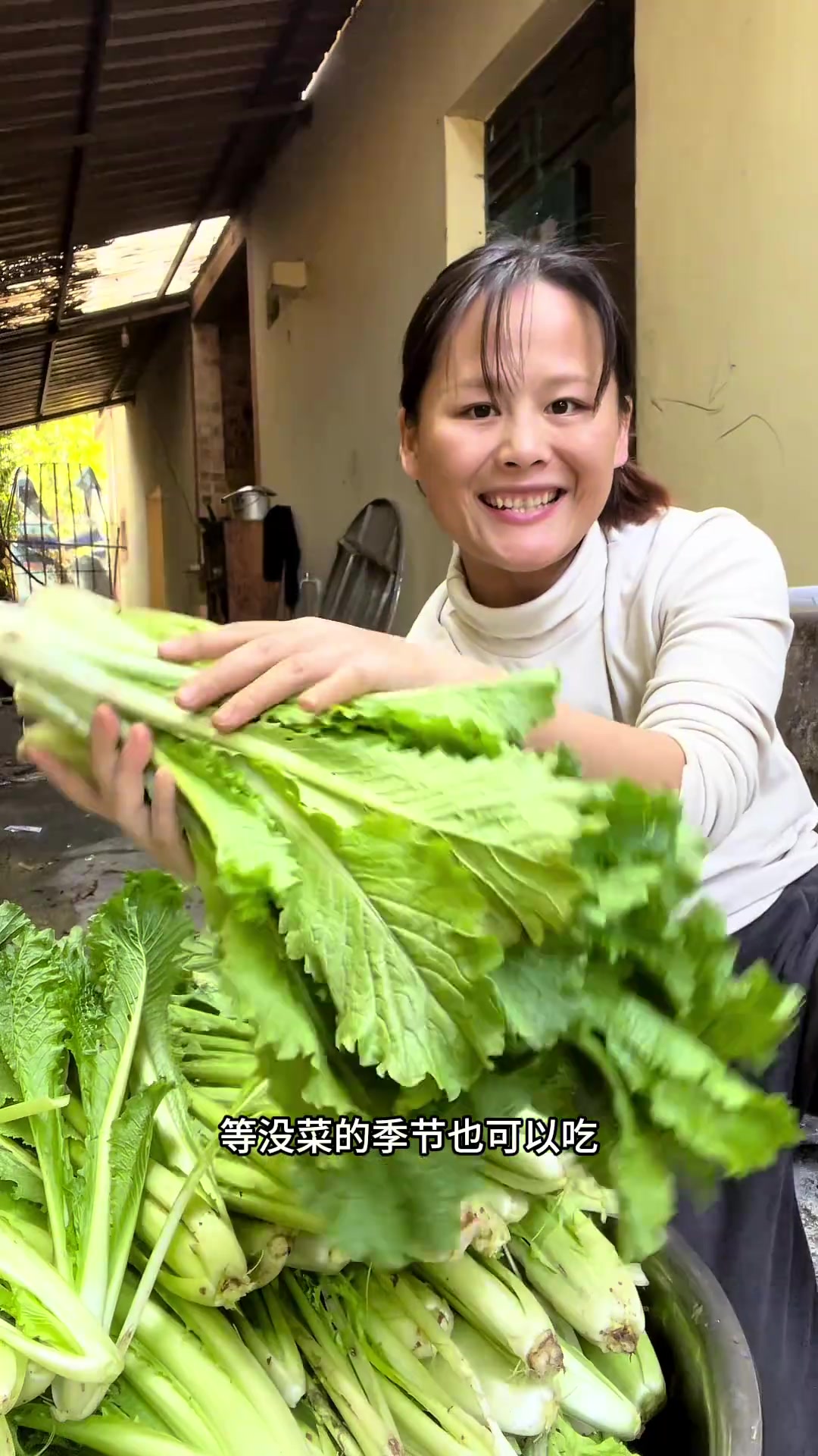 这菜可能熬不到过年，打理菜园拔多余菜开水焯后晒，备菜供家人
