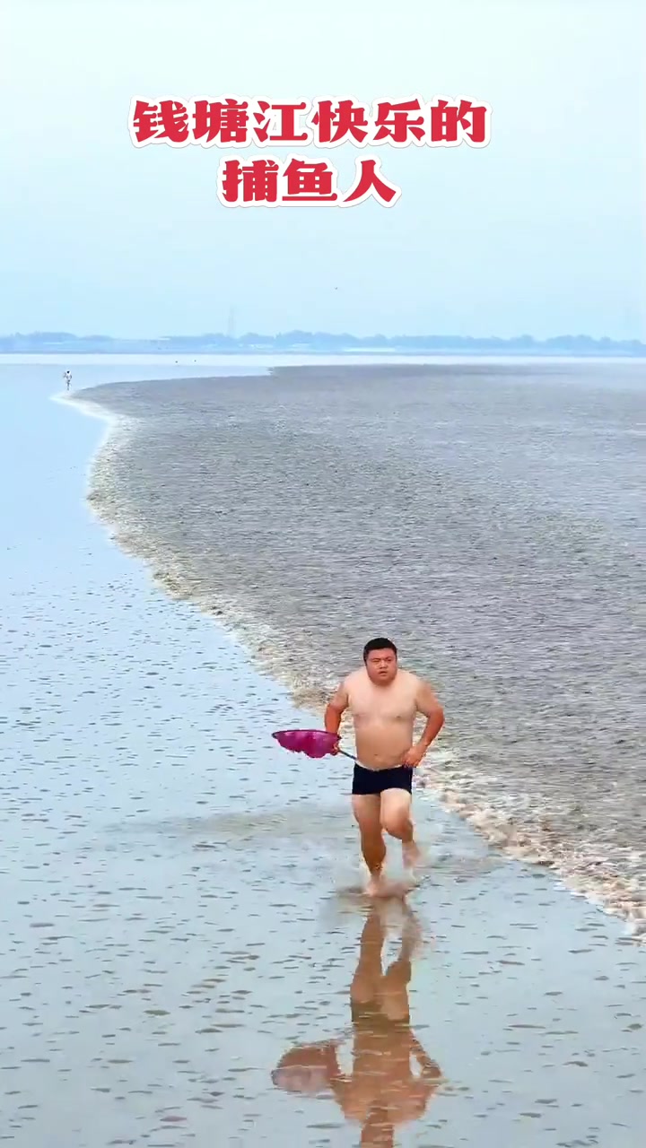 汹涌钱塘江畔惊现潮头鱼!