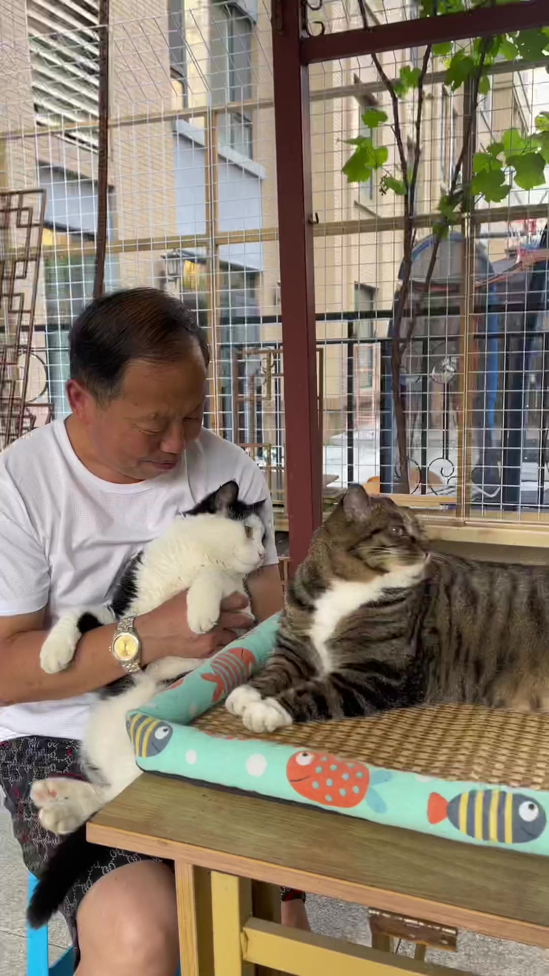 小包子和大花卷你们喜欢哪一个