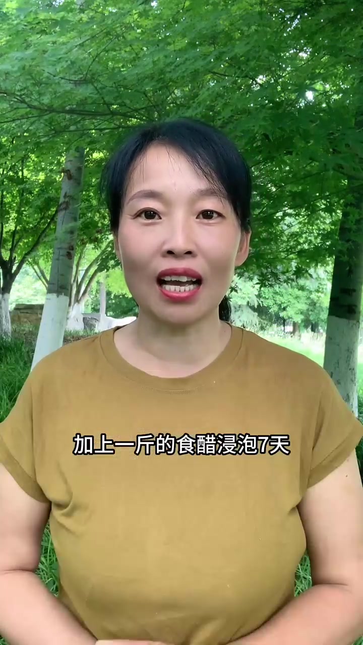 韭菜种植方法分享