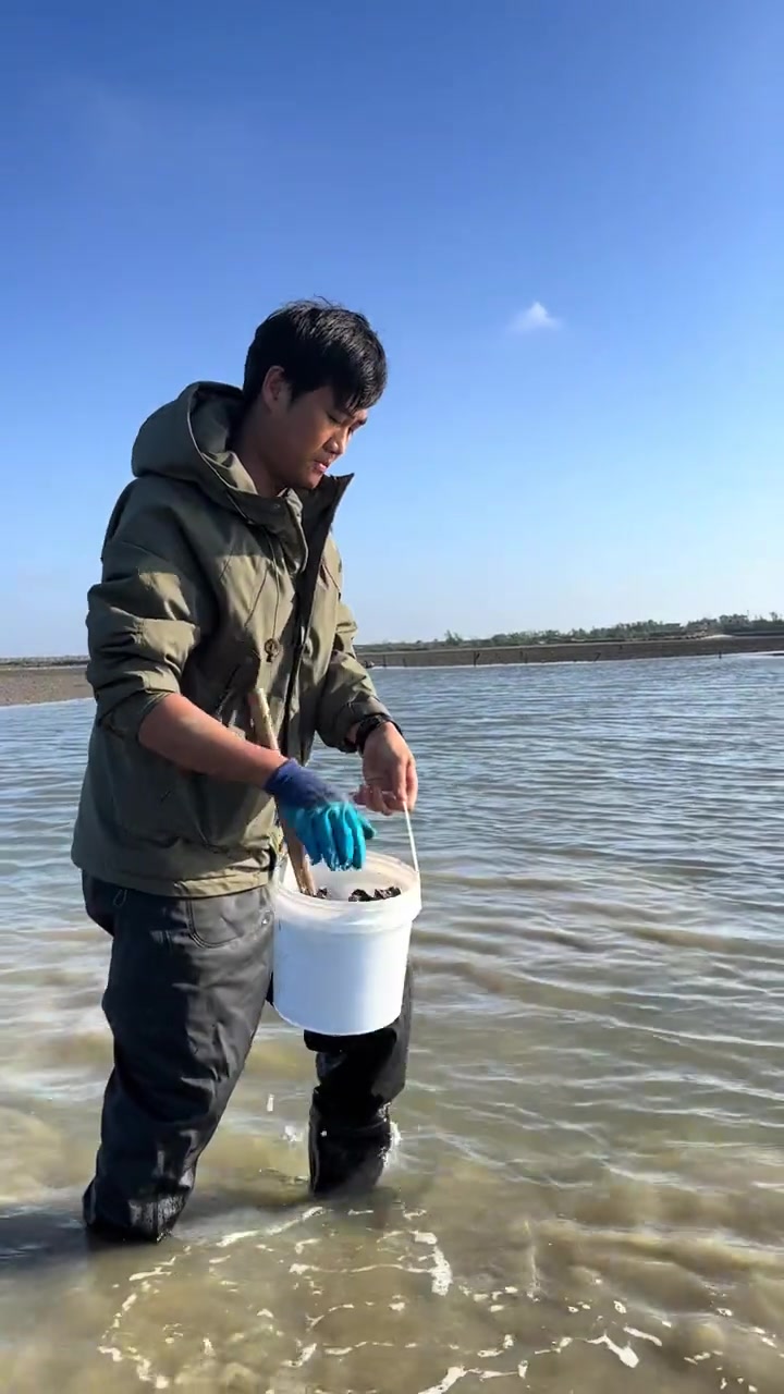 冬季渔村野生蚝泛滥,捡一大桶做蒜蓉清蒸生蚝