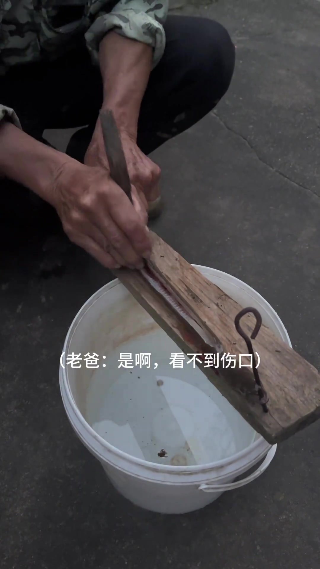 土龙海鲜砂煲粥，味道绝绝子