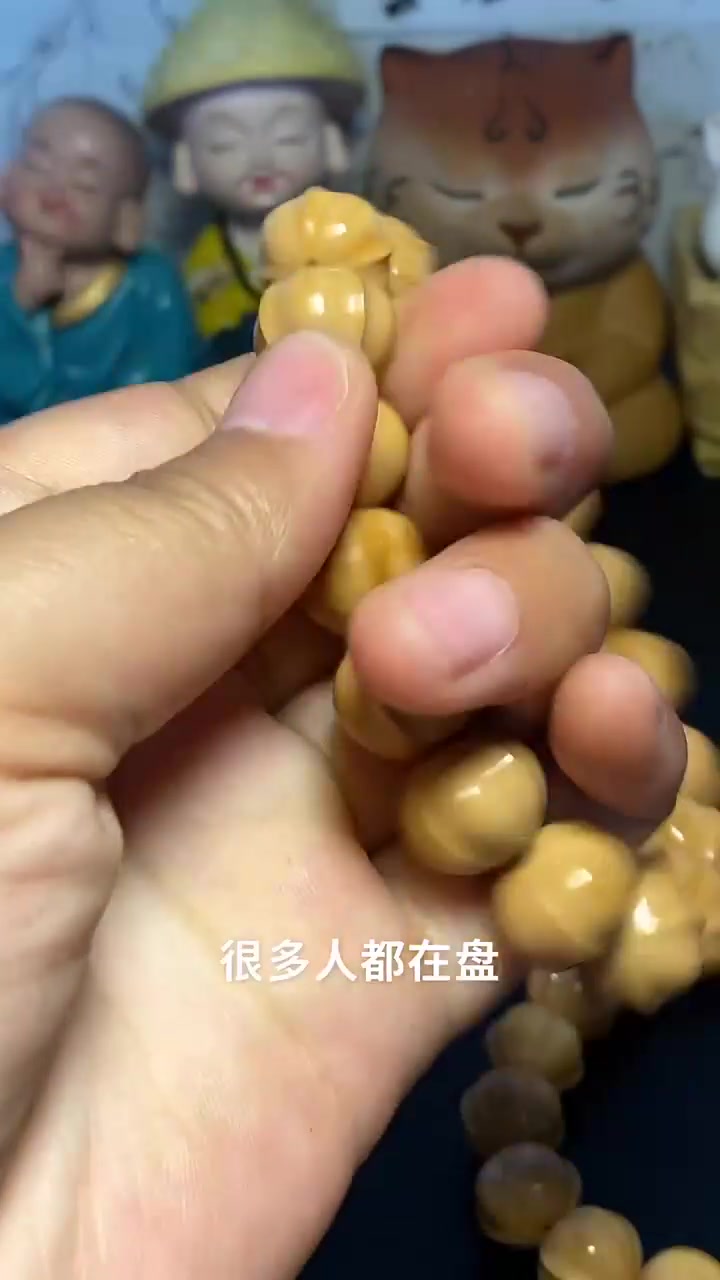 猴头鲨鱼背，好喜欢啊
