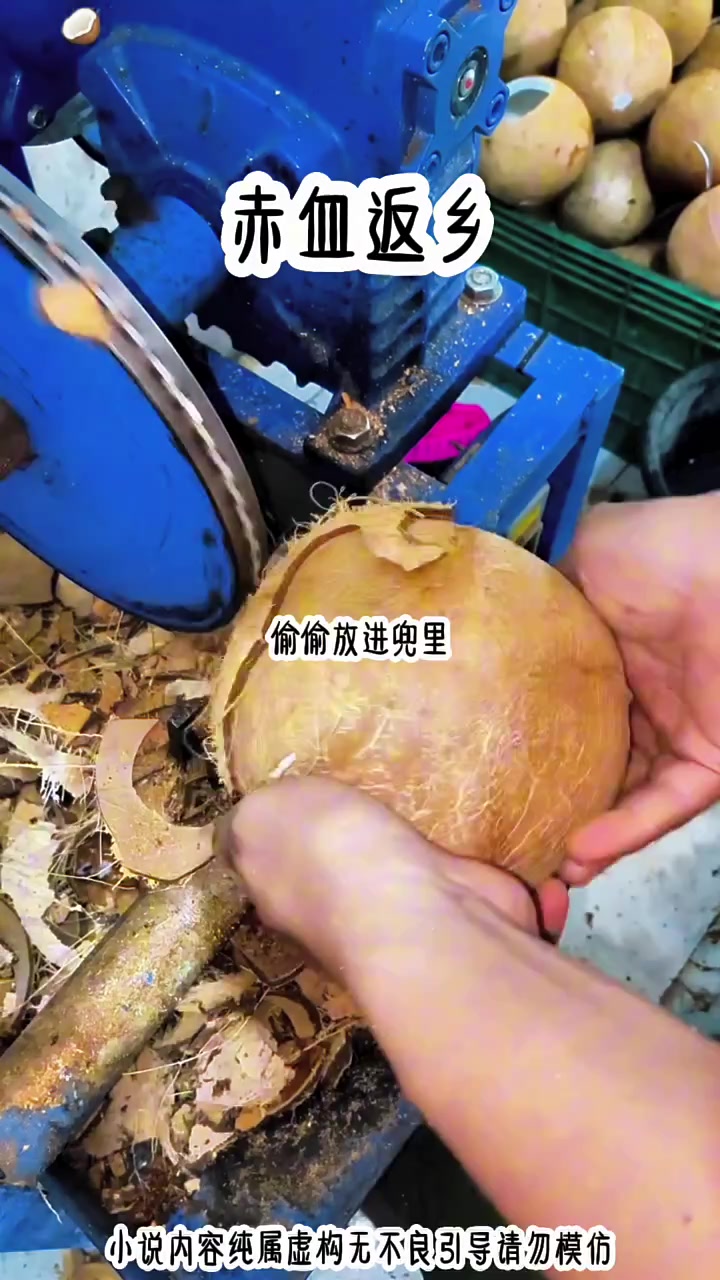 《赤血返乡》