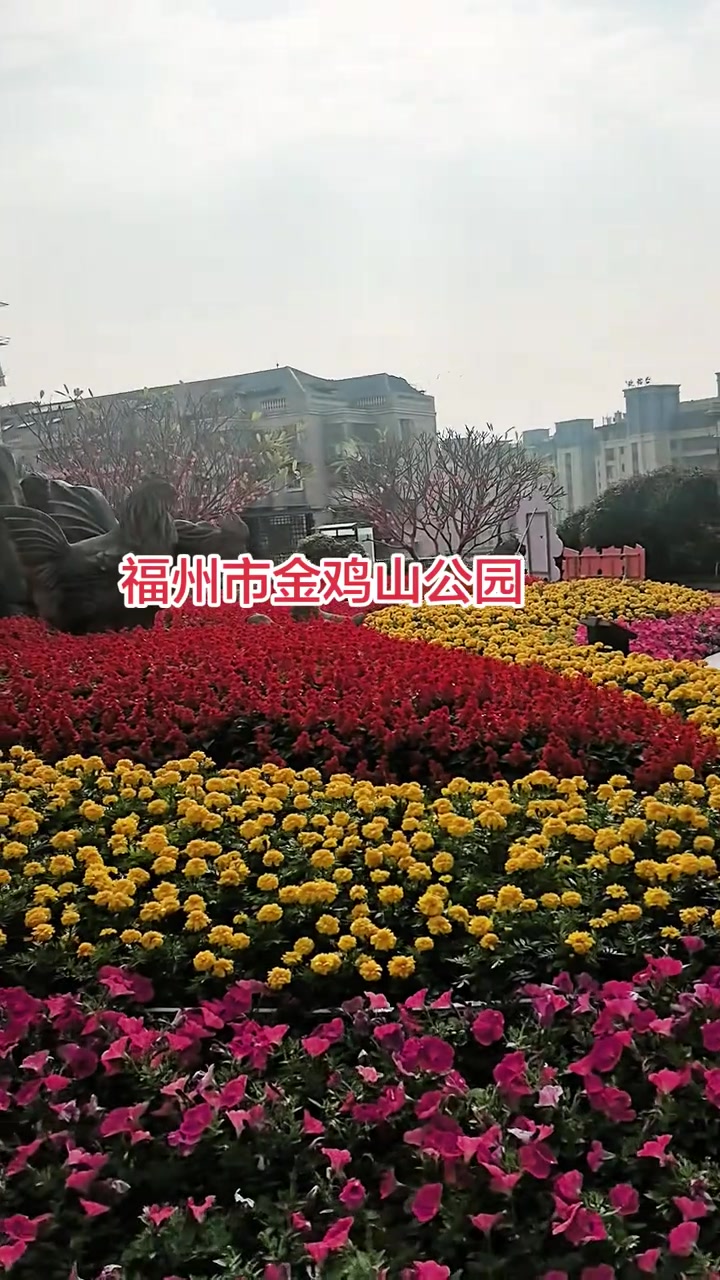 美丽家乡福州金鸡山公园