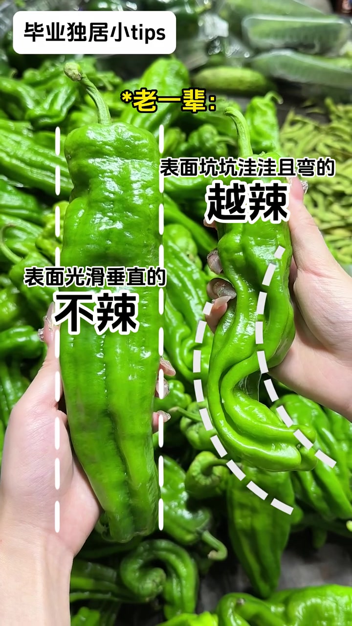毕业独居，一招教你超市挑蔬菜
