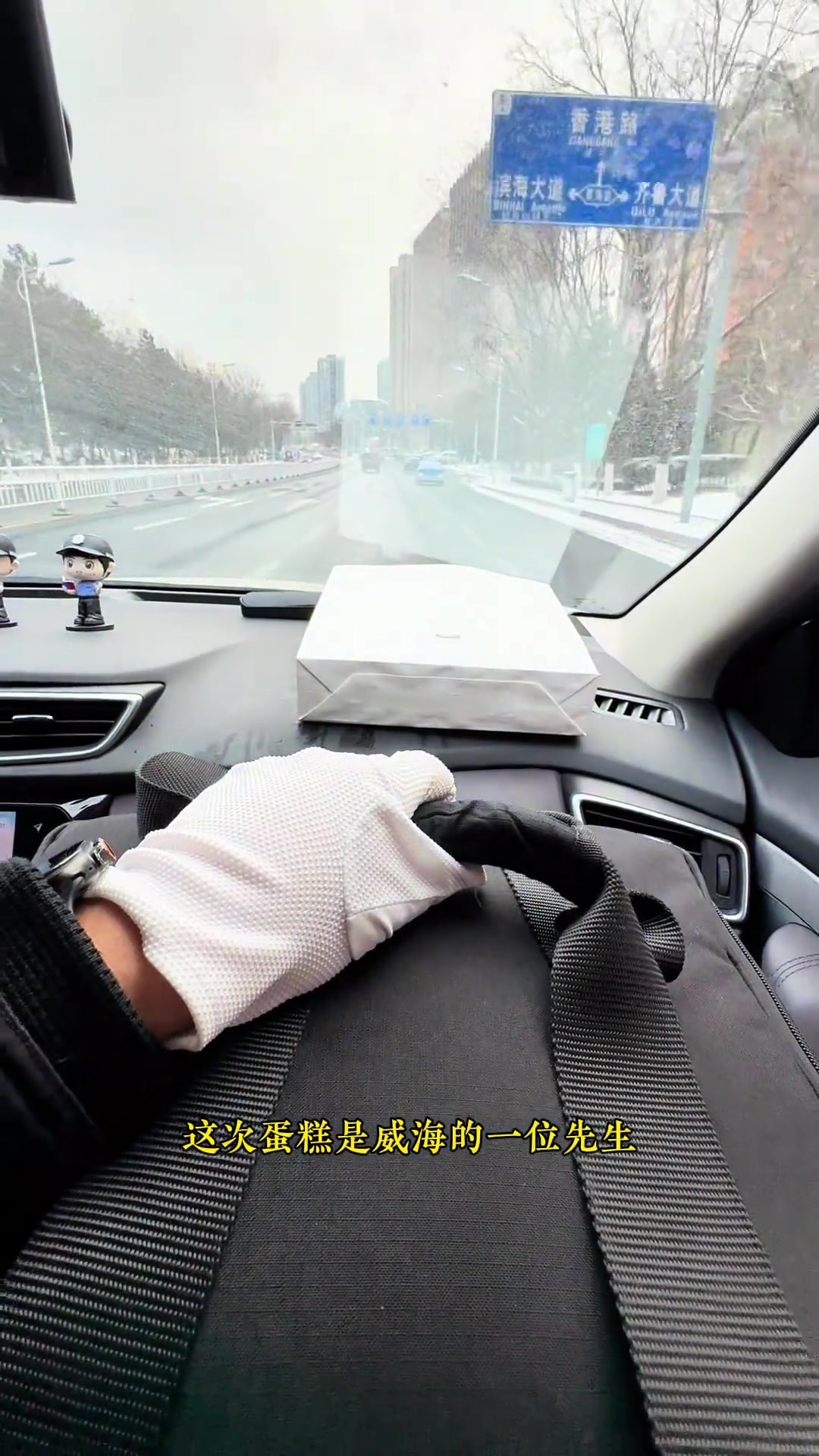 3000一个的蛋糕继续从北京坐高铁送山东威海黑天鹅蛋糕