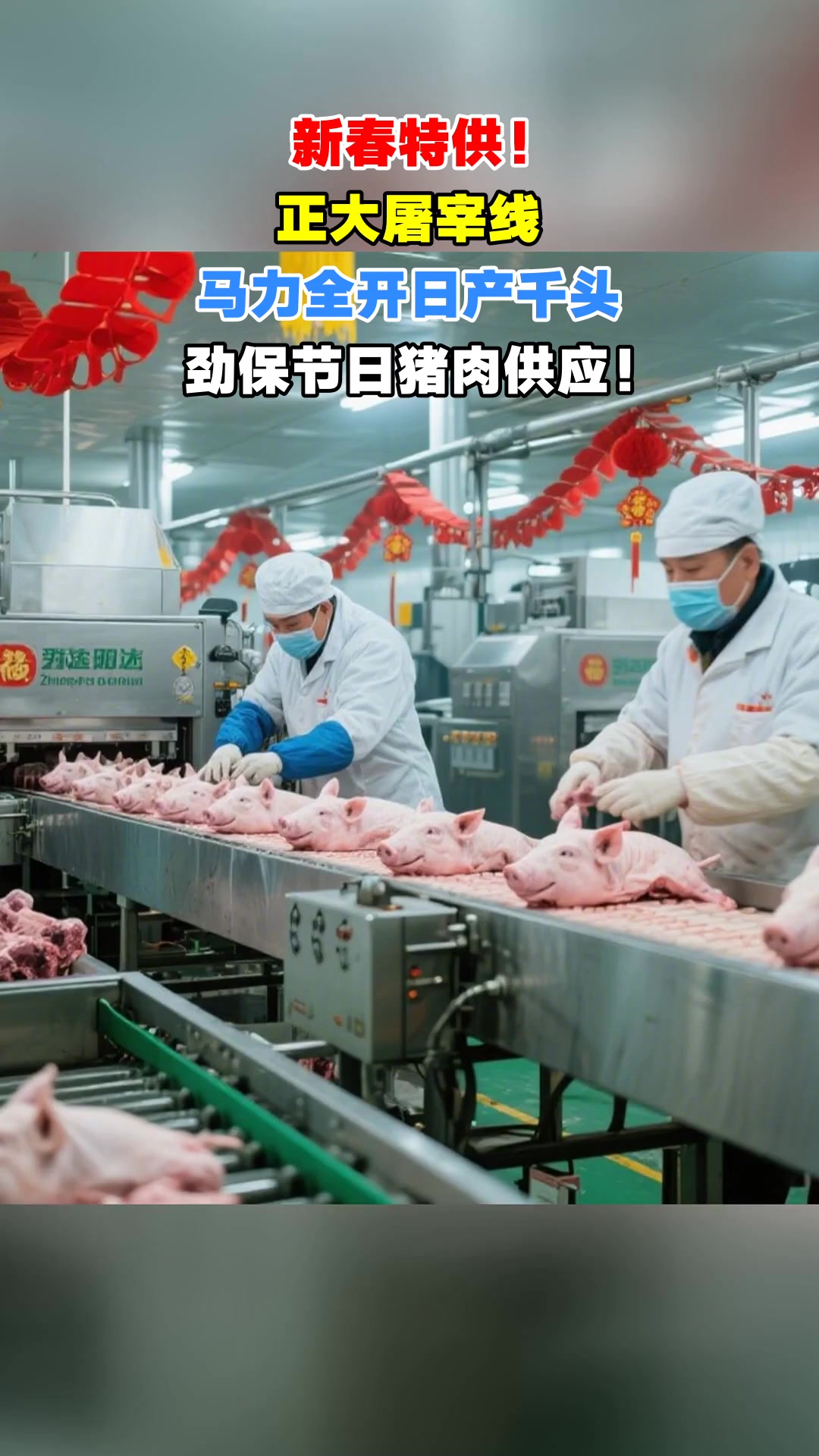 新春特供!正大屠宰线,马力全开日产千头,劲保节日猪肉供应!
