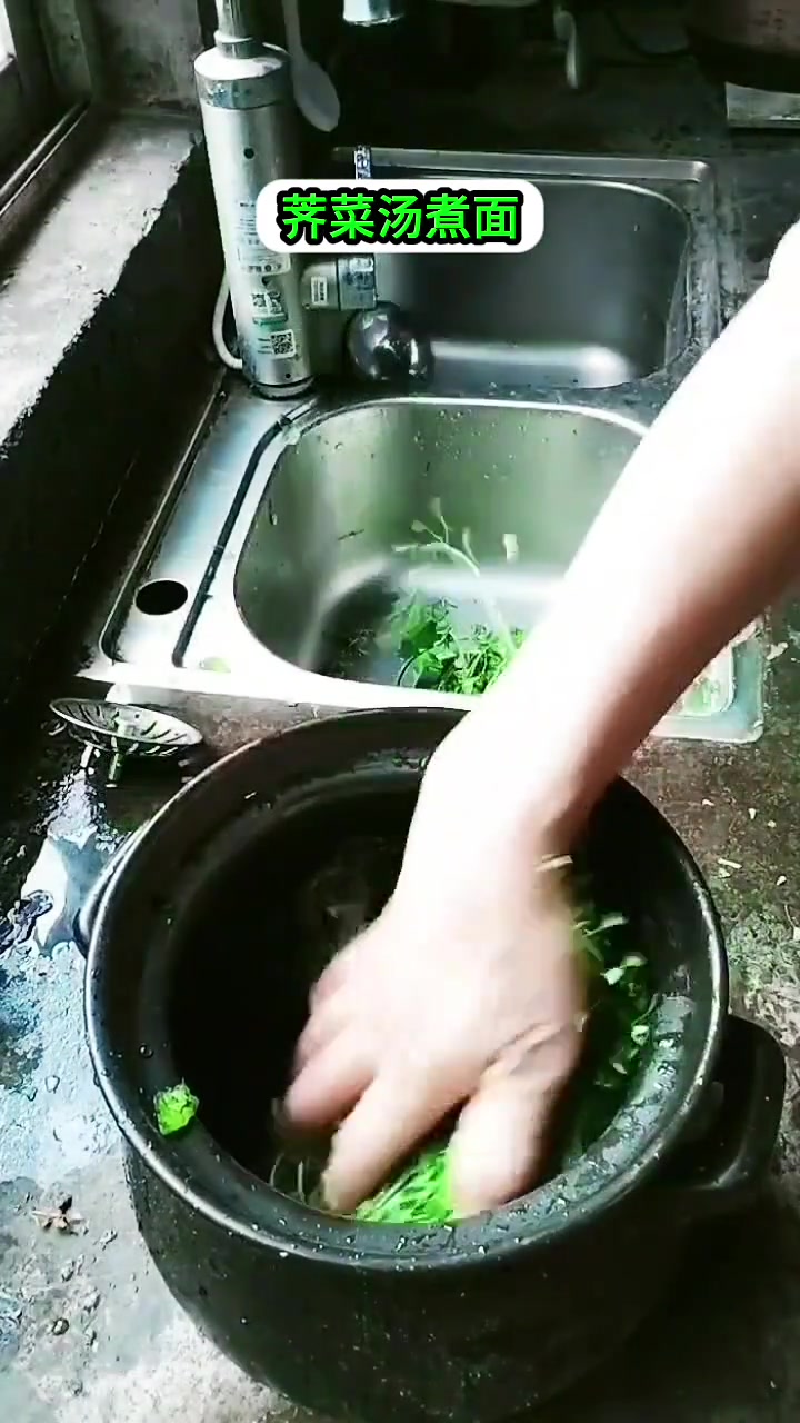 荠菜是野菜中的代表，也是一种野菜中的美味之一，大家吃过吗？