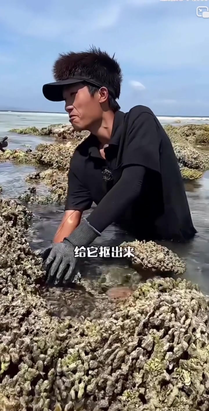 户外赶海抓海鲜