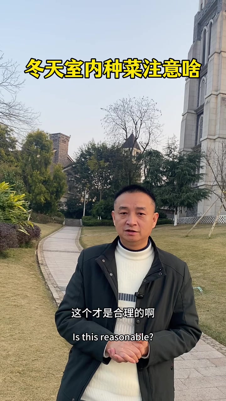 冬天室内种菜需要注意啥?
