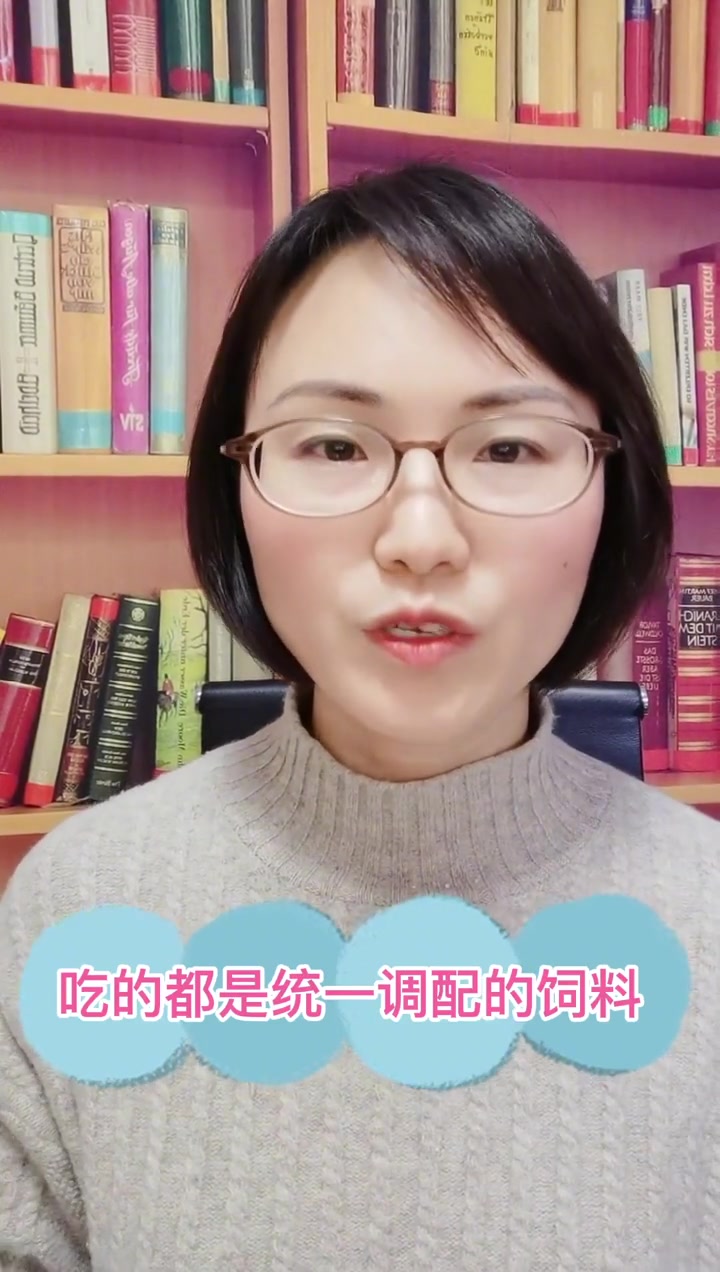 土鸡蛋和洋鸡蛋到底有什么区别?#悦动生活季#