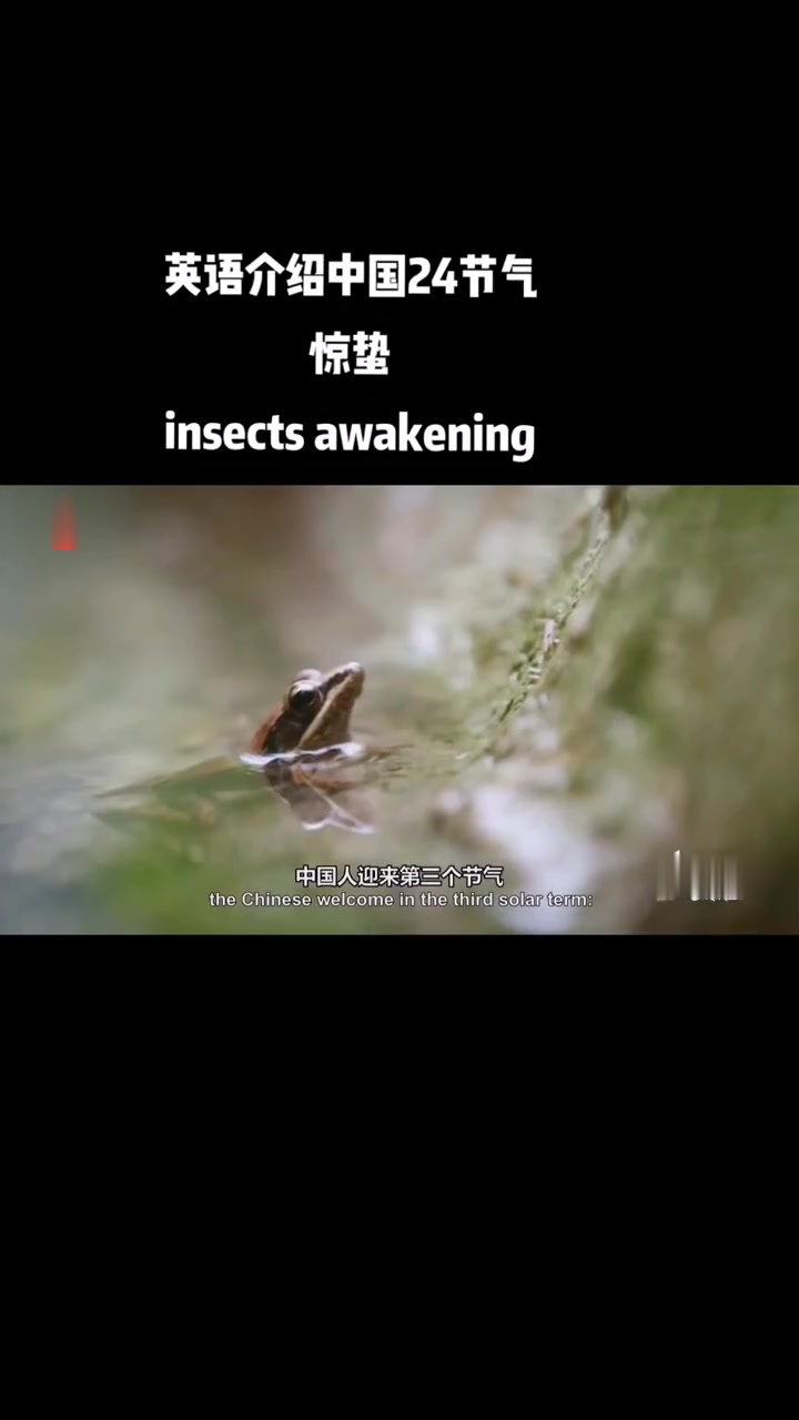 24节气之惊蛰，用英语介绍中国传统文化
