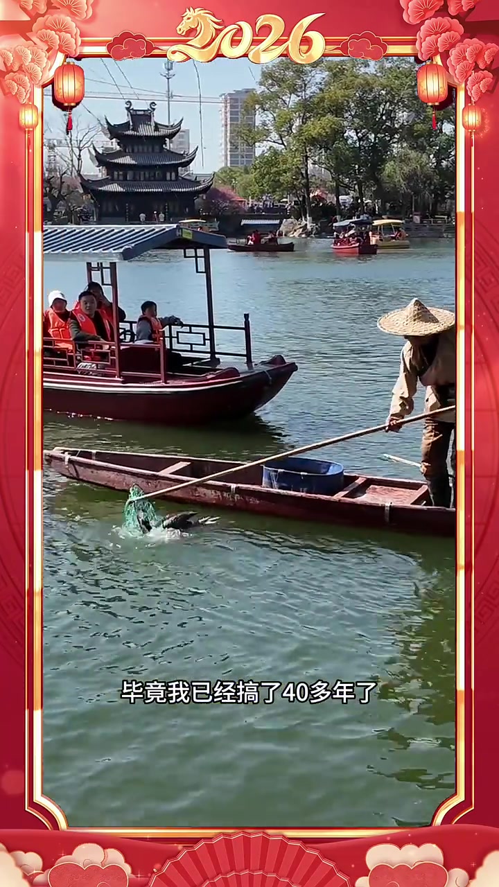 我在宁波过大年丨哨声起,鱼儿来!宁波月湖新春名场面,鸬鹚捕鱼非遗技惊四座