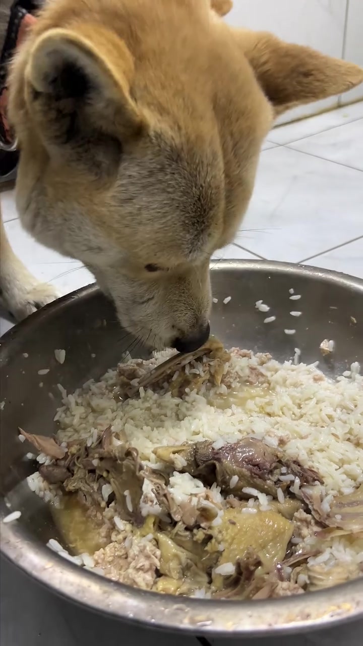 还是家里的饭菜香啊