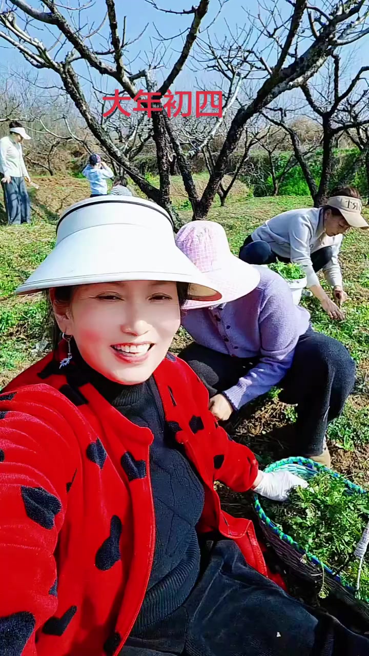 下午带两个姑子妹和两个小宝贝来挖地菜，地菜太多了