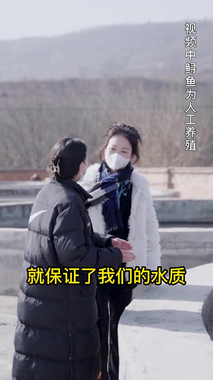 深山里的鲟鱼养殖基地，带你大开眼界！