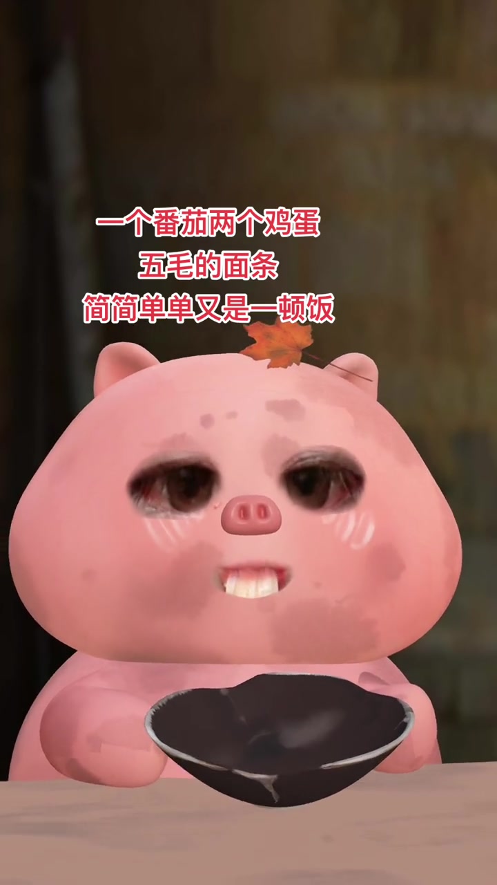 河南的番茄鸡蛋捞面条真的很好吃
