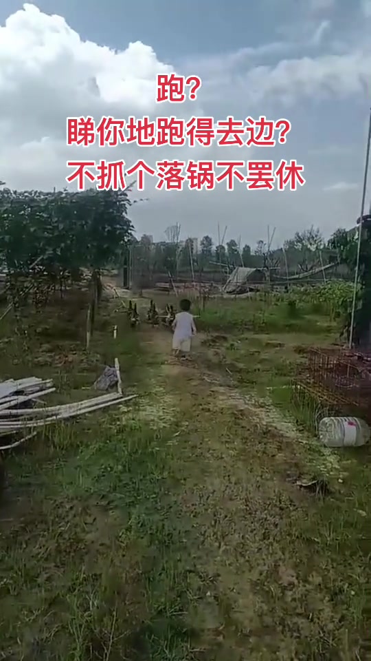 抓鸭子，翊翊赶得鸭子晕头转向，走投无路不得不下锅