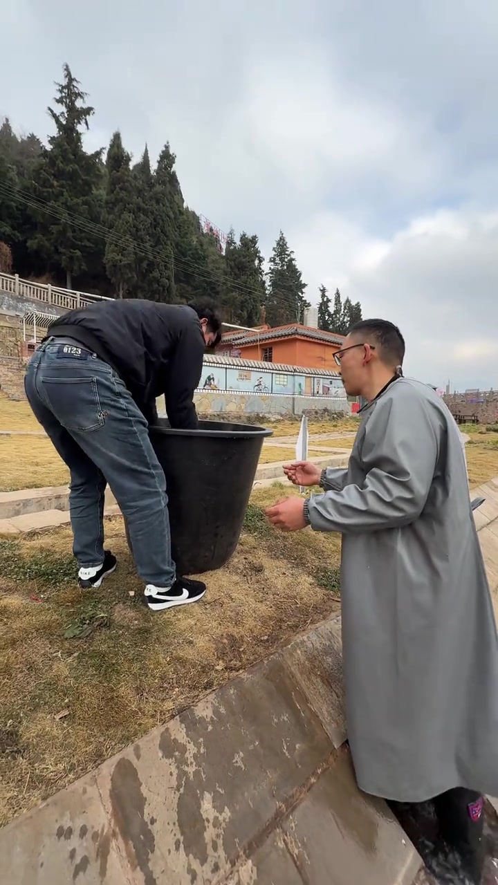 鱼王尾巴有一抹红色噶!今天晚上又放进去6条大鱼王,总共就是16条大鱼王了