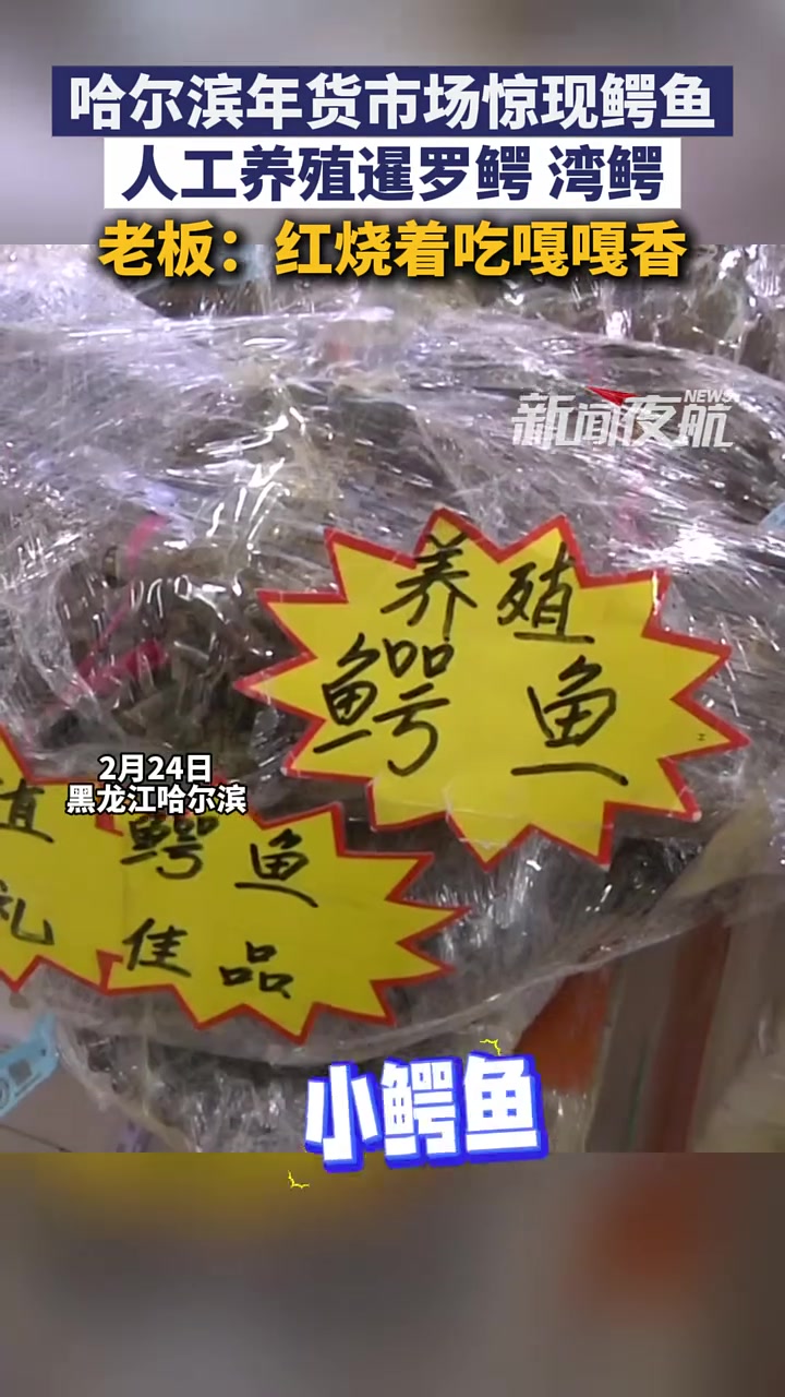 2月24日（发布），黑龙江哈尔滨，年货市场惊现鳄鱼，是人工养殖暹罗鳄、湾鳄，老板：红烧着吃