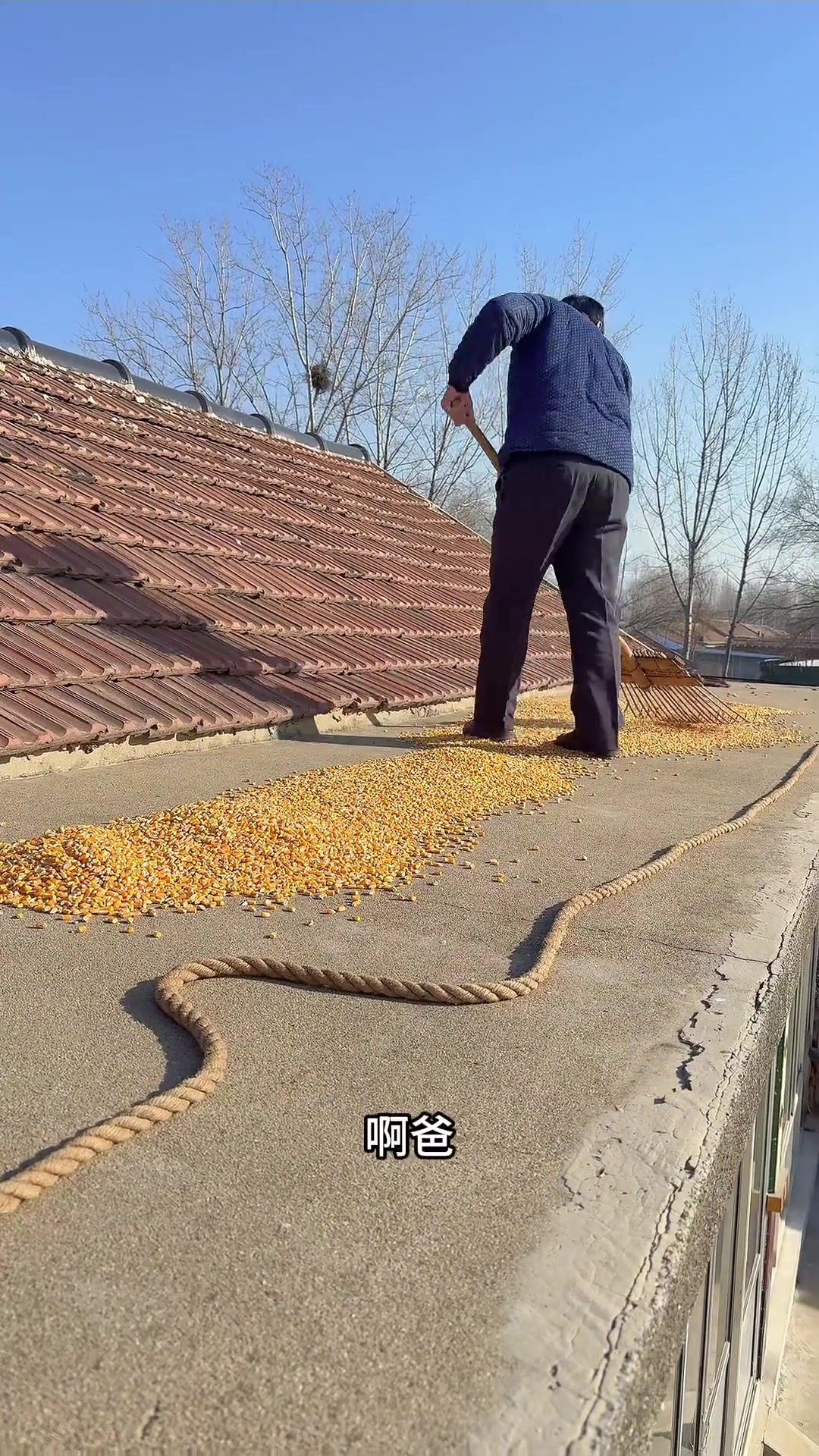 山东人过年蒸的大馒头就是这么大，过年端上桌，好看又好吃