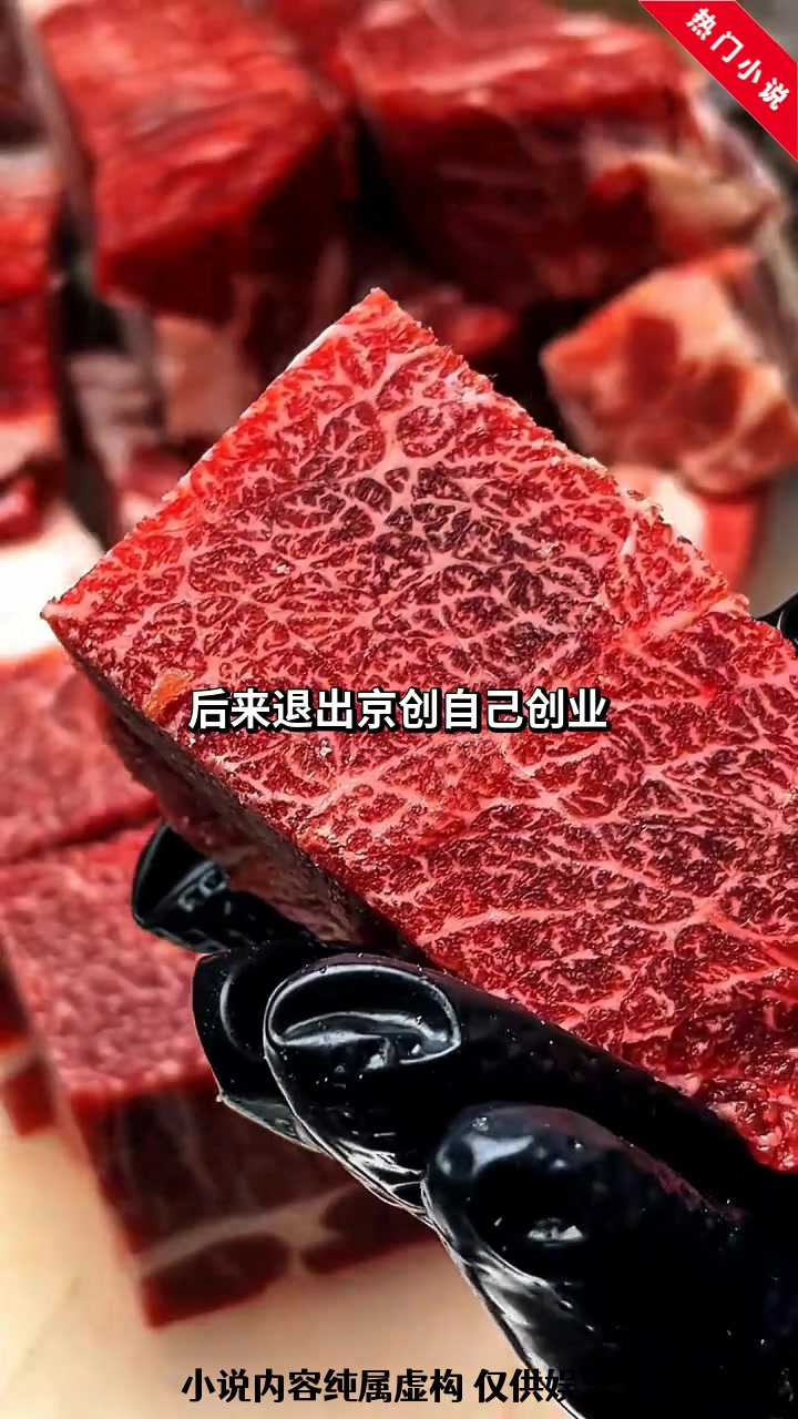 京洛再无佳人2