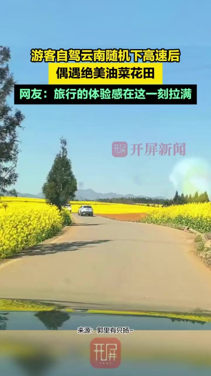 游客自驾云南随机下高速后,偶遇绝美油菜花田,网友:旅行的体验感在这一刻拉满#罗平油菜花#有