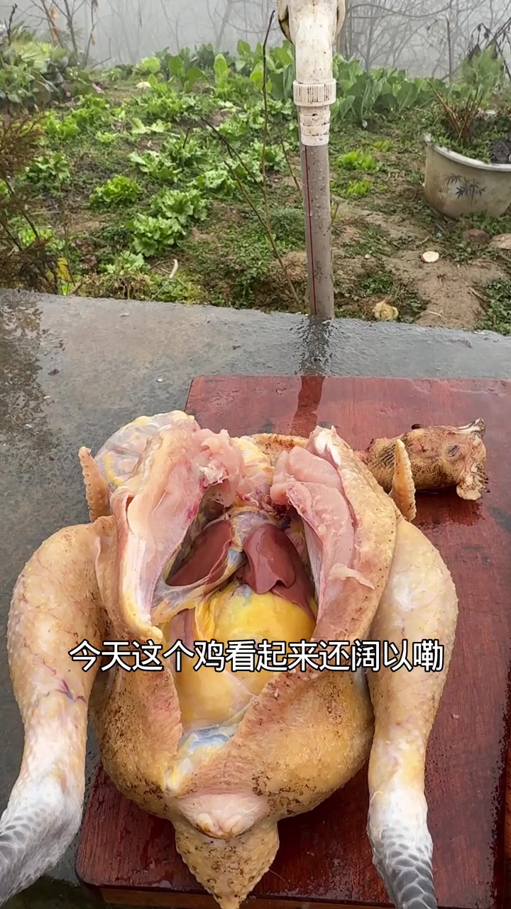 今天这个鸭子做铁锅炖大鸭还可以哦